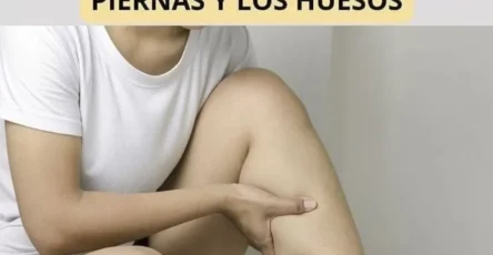 Portada2