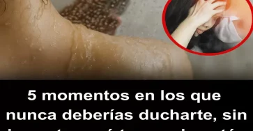 Portada6