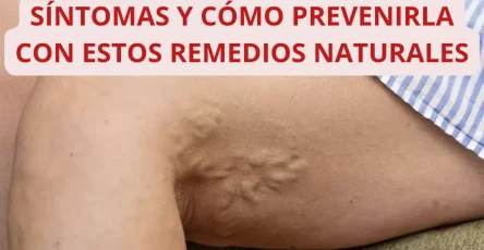 Portada9