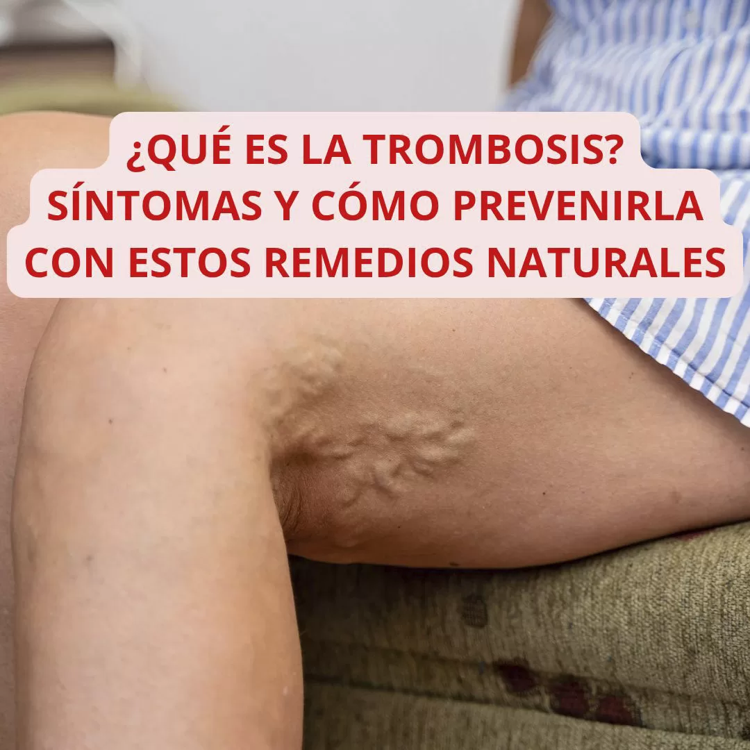 Portada9